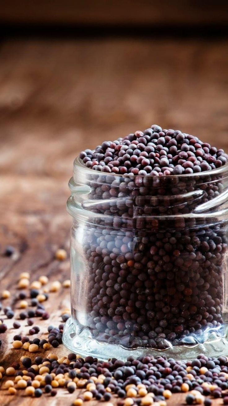Mustard Seeds 5 KG