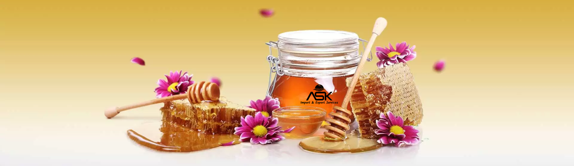ASK Import Export Services promo