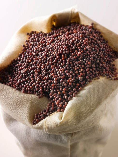 Mustard Seeds 5 KG