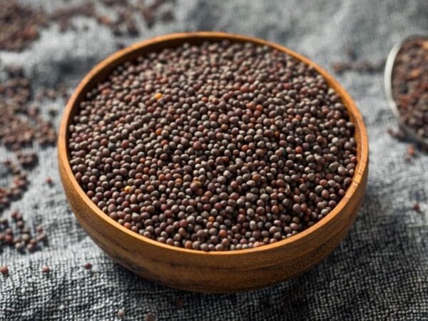 Mustard Seeds